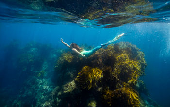 New Zealand, swimmer, diver, mermaiding, fins, tails