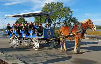 A Collette horse-drawn carriage excursion in Beaufort, S.C.
