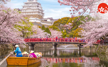 Boat ride on the moat of Himeji Castle with cherry blossoms in Japan.
