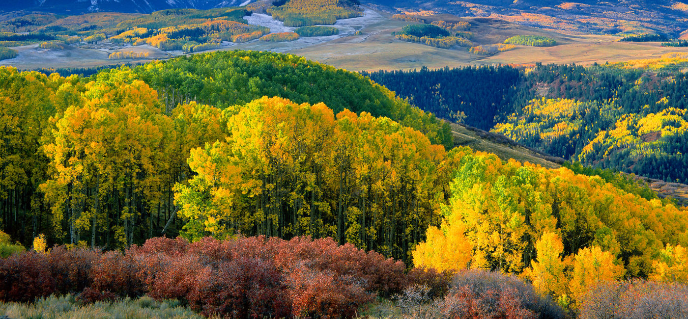 Image: Autumn aspens and Wilson Peak in the San Miguel Range - southwestern Colorado. (Phoot via sneffelsclimber / iStock / Getty Images Plus)