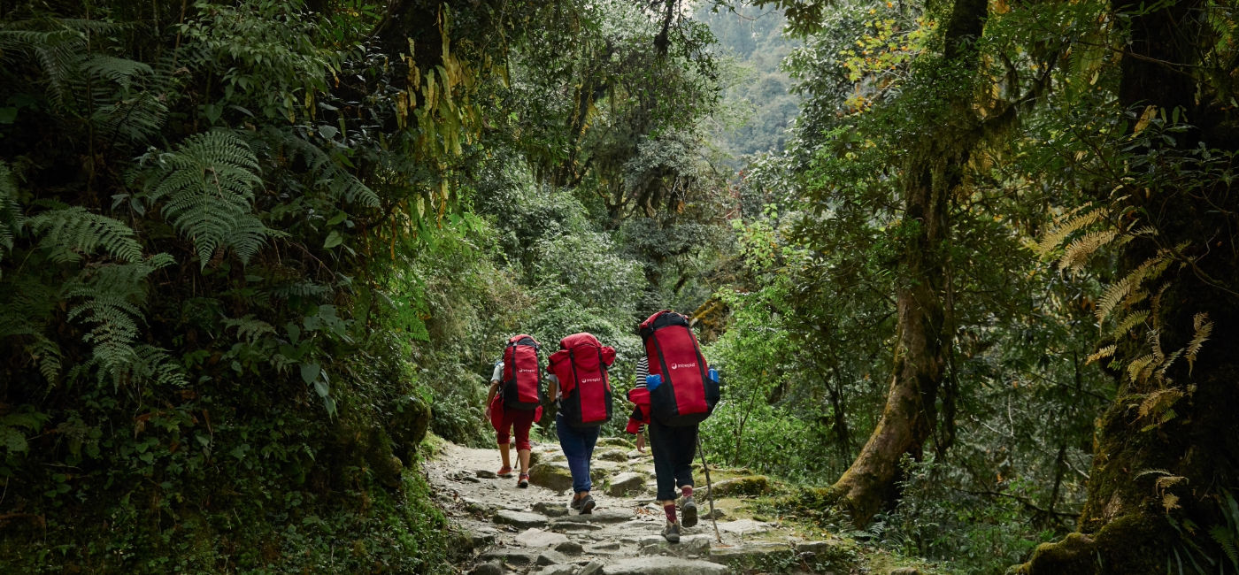 Image: Intrepid Travelers hike in a forest in Ghorepani, Nepal.  (Photo Credit: Intrepid Travel)