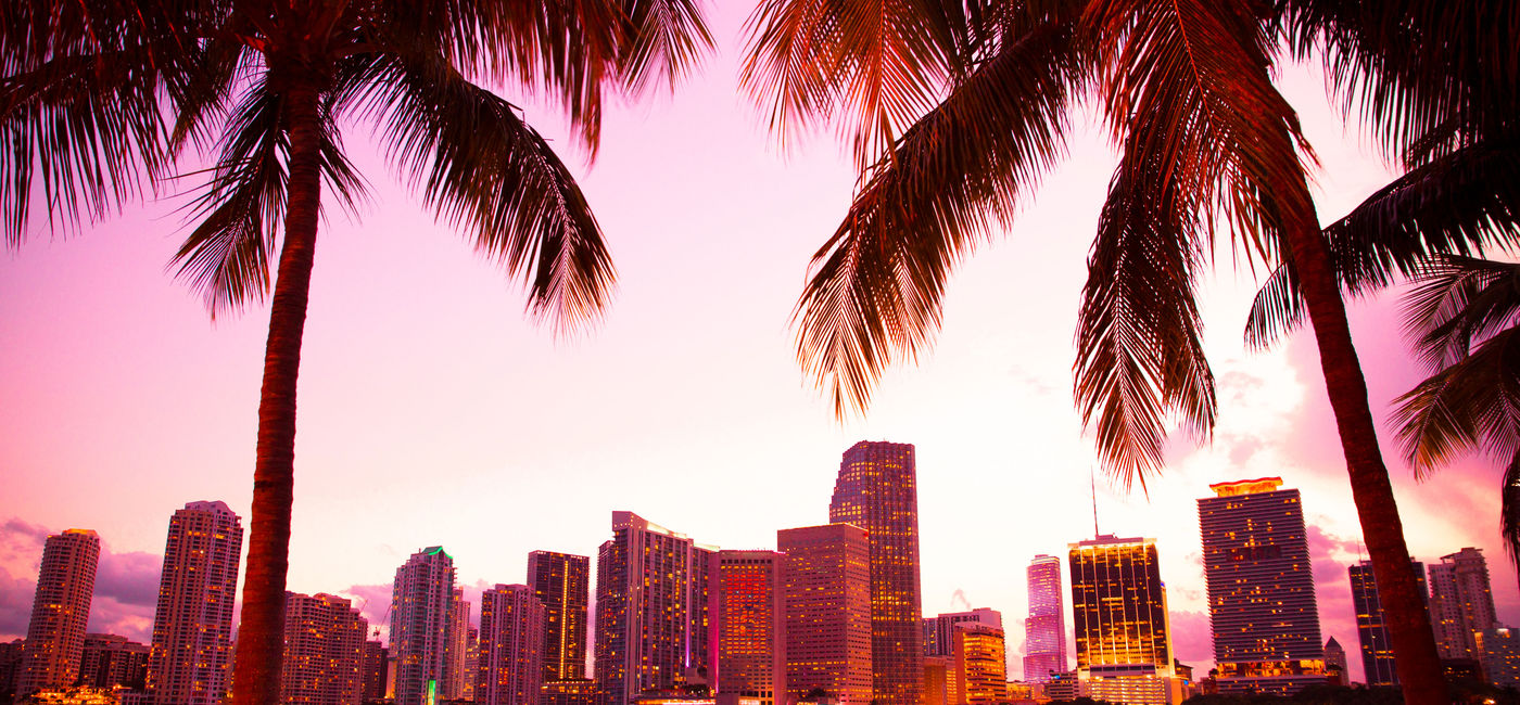 Image: PHOTO: Miami, Florida skyline and bay at sunset seen through palm trees. (photo via littleny / iStock / Getty Images Plus)