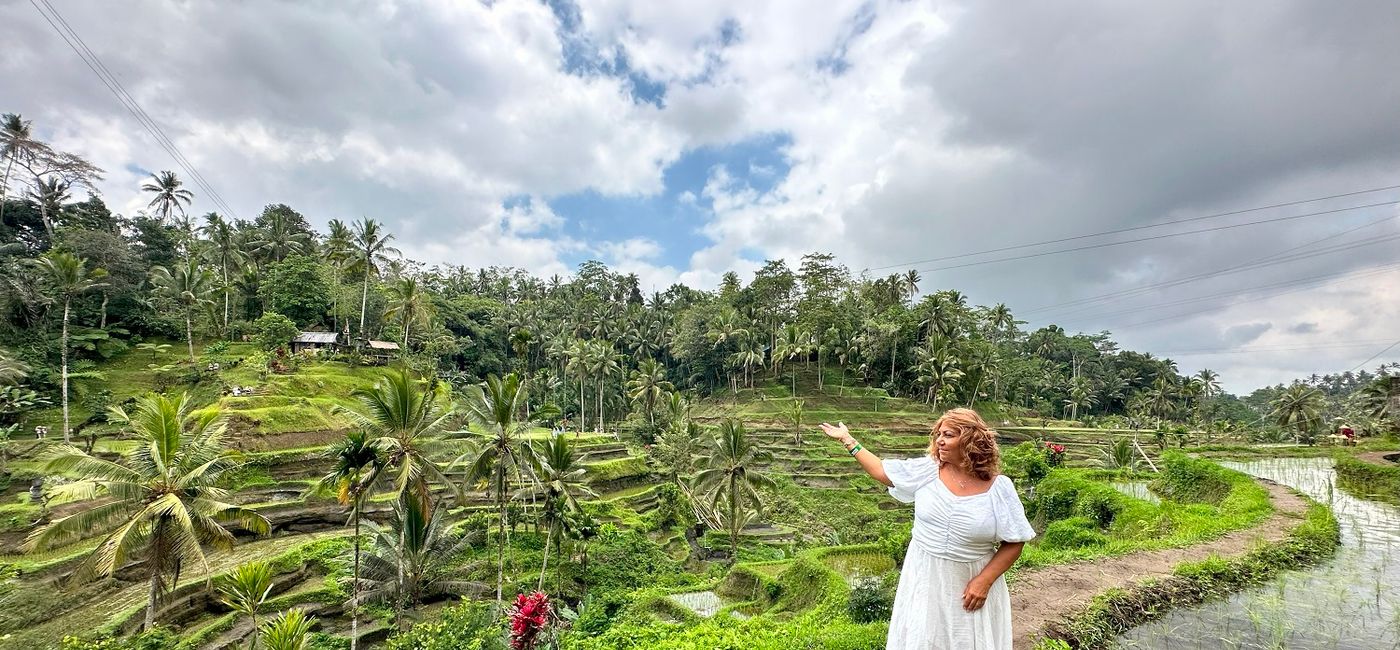 Image: Rice field in Bali. (Photo Credit: Tammy Levent)
