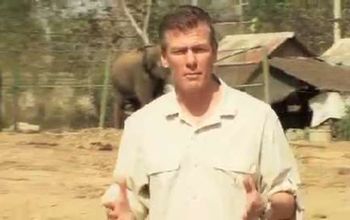 Join Mark at the Ayutthaya Royal Elephant Kraal and Village