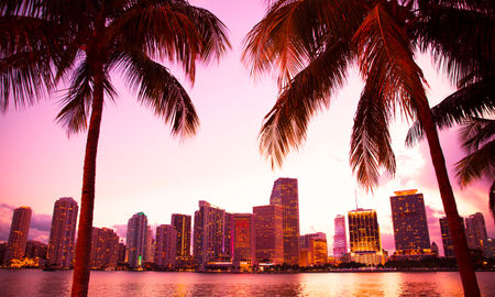 Miami Florida skyline and bay at sunset seen through palm trees (photo via littleny / iStock / Getty Images Plus)