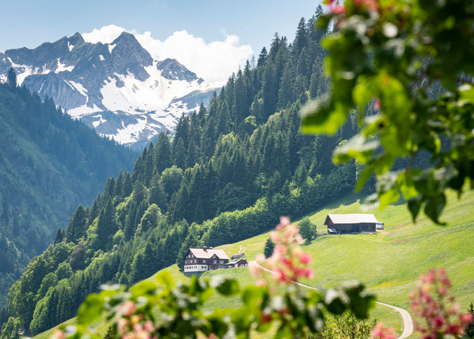 Austria, Mittelberg, Alpine scenery