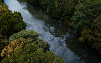 Achiote Colon Province is a paradise of biodiversity