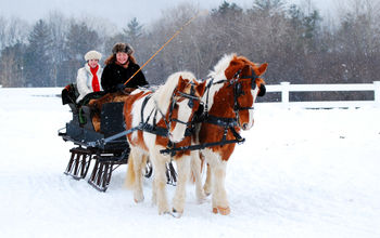 snow, winter, sleigh, horses, Stockbridge, Massachusetts