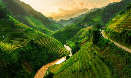 Terraced rice field landscape near Sapa in Vietnam. Mu Cang Chai Rice Terrace Fields stretching across the mountainside, layer by layer reaching up as endless, with about 2,200 hectares of rice terraces, of which 500 hectares of terraces of 3 communes suc