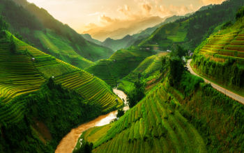 Terraced rice field landscape near Sapa in Vietnam. Mu Cang Chai Rice Terrace Fields stretching across the mountainside, layer by layer reaching up as endless, with about 2,200 hectares of rice terraces, of which 500 hectares of terraces of 3 communes suc